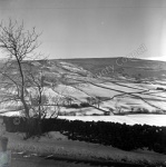 Deerstones and Beamsley Beacon